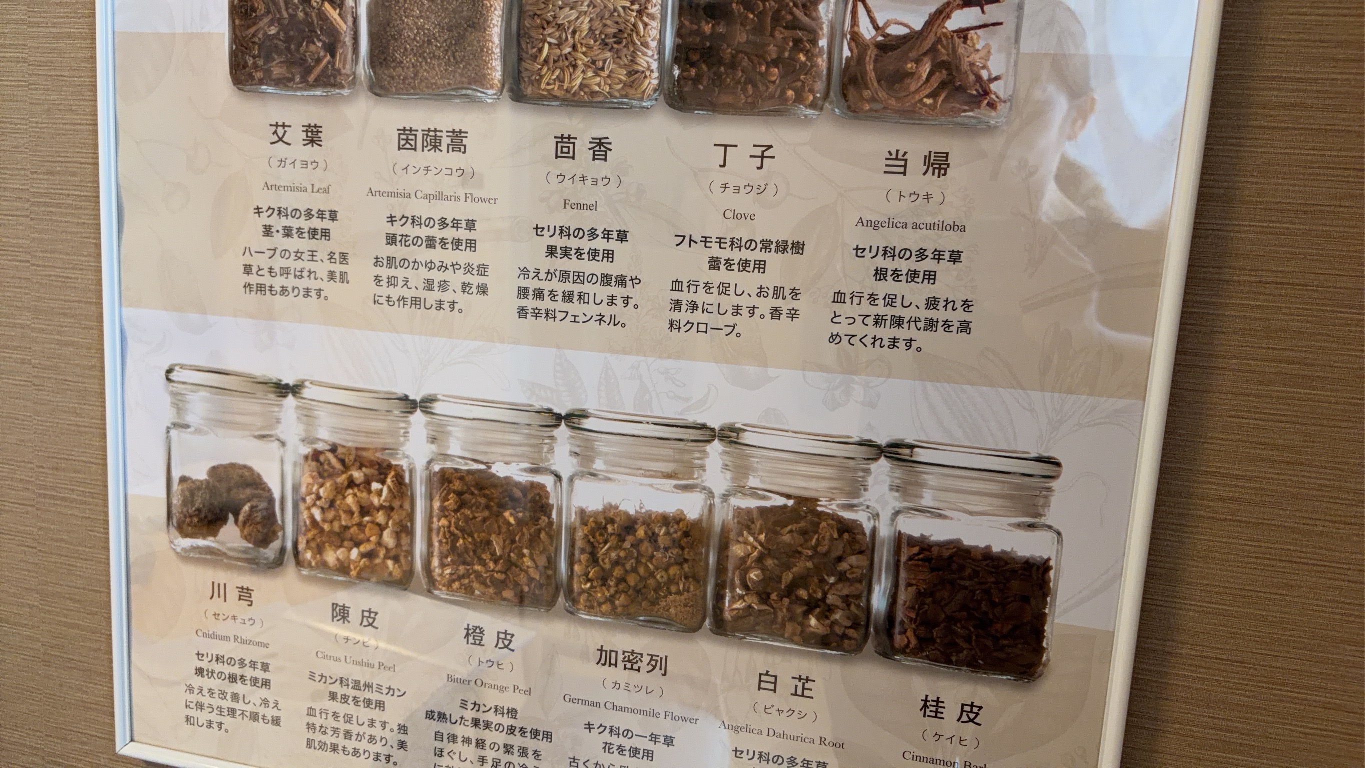 脂肪燃焼を促進する施術